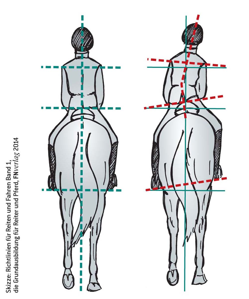 Ein schiefer Sitz mit eingeknickter Hüfte kann gegen die Bewegungsrichtung des Pferdes gerichtet sein und das Ausfallen über die Schulter begünstigen.