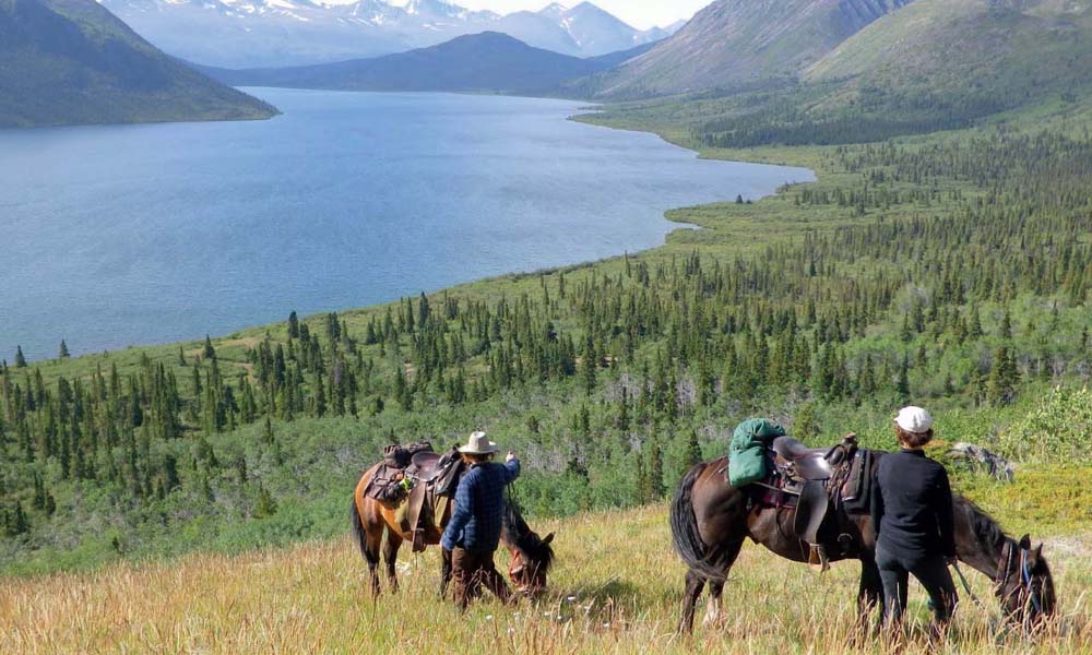 Yukon Trail in Kanada