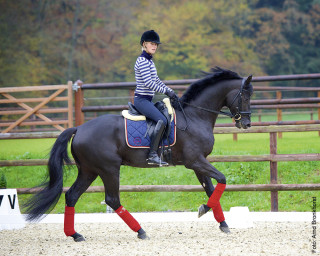 Anlehnung entsteht nur durch das richtige Zusammenspiel von Kreuz-, Zügel- und Schenkelhilfen des Reiters. Das Foto zeigt Isabel Bache mit Van Vivaldi.