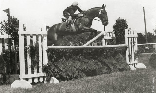 1954 mit Falco nahm Hans Helmut Sievers an Großen Preisen teil.