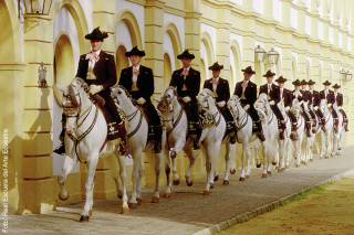 Hofreitschule Jerez