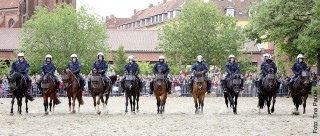 Vielseitig und bei Radau gelassen: Das kennzeichnet Polizeipferde.