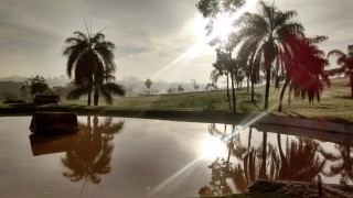 Sonne und Palmen – der Blick auf die Geländestrecke macht Lust auf „Urlaub“. Foto: FEI