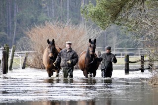 Retter in der Not waren gefragt als das Hochwasser des Jahres 2012 Pferdeweiden einschloss. Foto: dpa