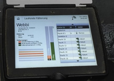 Die Futterzuteilung im Fressstand erfolgt computergesteuert, jedes Pferd trägt einen Chip.