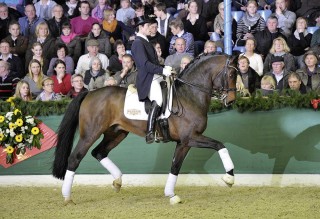 Fidertanz, NRW-Siegerhengst, HLP-Sieger, Vize- Bundes­­cham­pion, Hauptprämien­sieger und Sieger bis Inter I, unter Antonio do Vale Foto: Kiki Beelitz