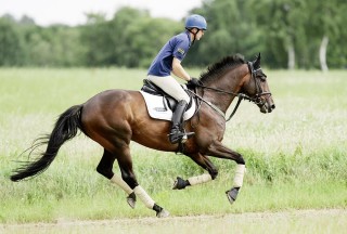 Nur wenn ein Pferd optimal im Training ist, kann es die geforderte Leistung erbringen. Das gilt für Andreas Dibows­ki (Foto) in der Vielseitigkeit genauso wie für den Freizeitreiter, der einen langen Ausritt plant. Foto: J. Toffi