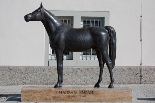 pm-forum-digital-03-2021-deutschlands-landgestüte-teil-1-marbach-hadban-enzahi