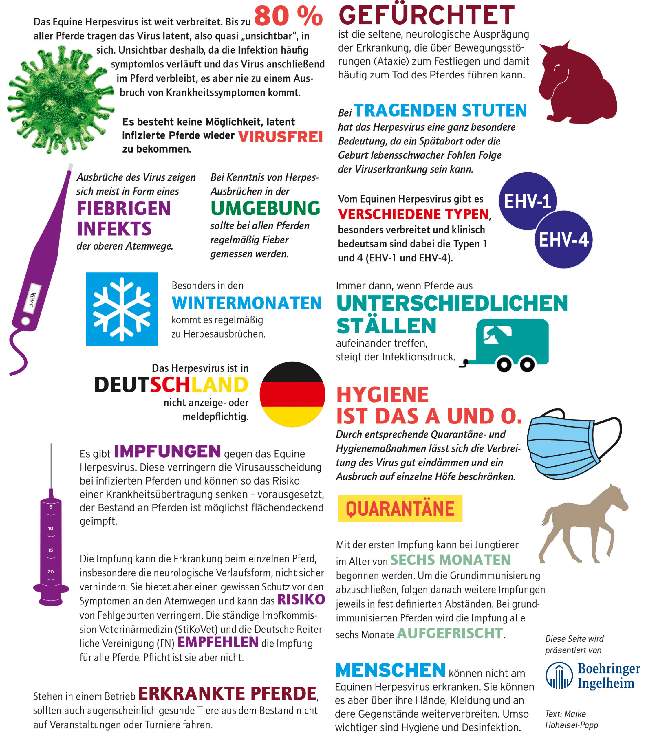 Gesundheit_kompakt_Herpesvirus