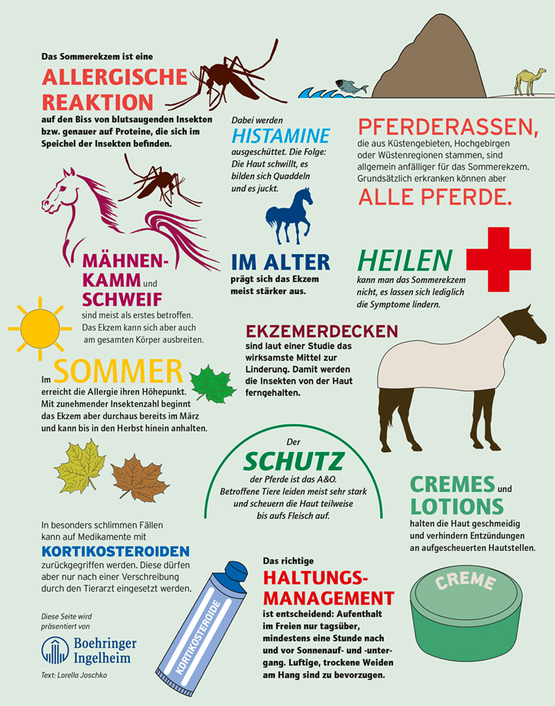 Gesundheit_kompakt