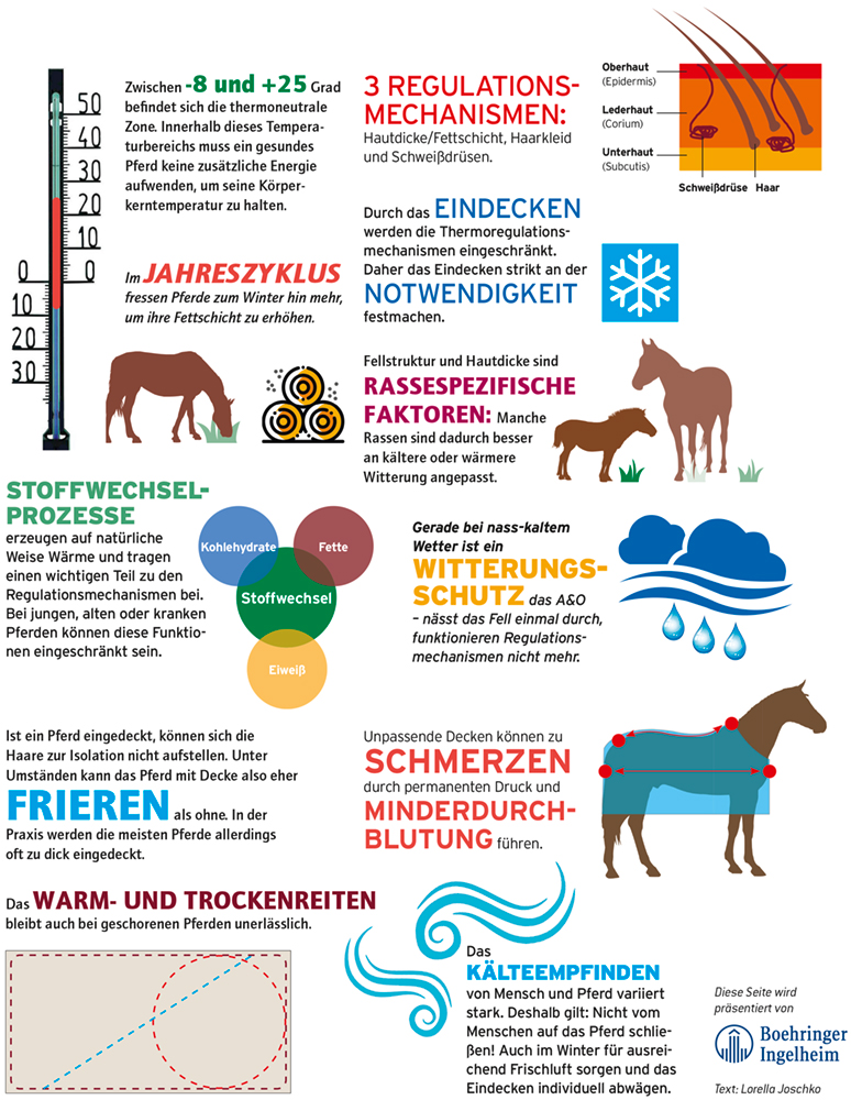 Gesundheit_kompakt_10.21