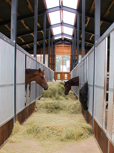 Heuraufe_Unser_Stall