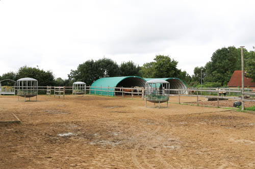 xxAufmacher-Butenhof_id209701