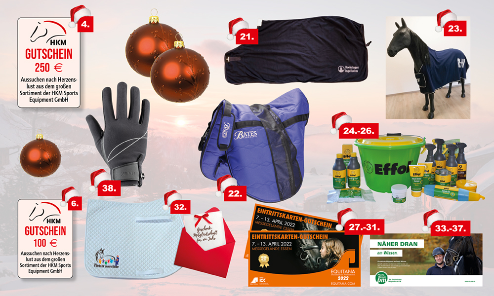 Weihnachtsraetsel_Gewinne_2