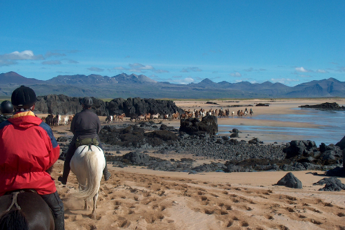 Island schwarze Felsen am Strand - Foto Pferd und Reiter