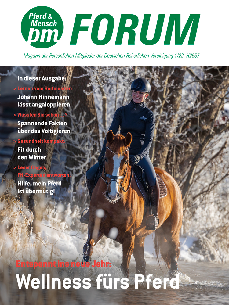 PM-Forum – Eine Zeitschrift für alle Persönlichen Mitglieder