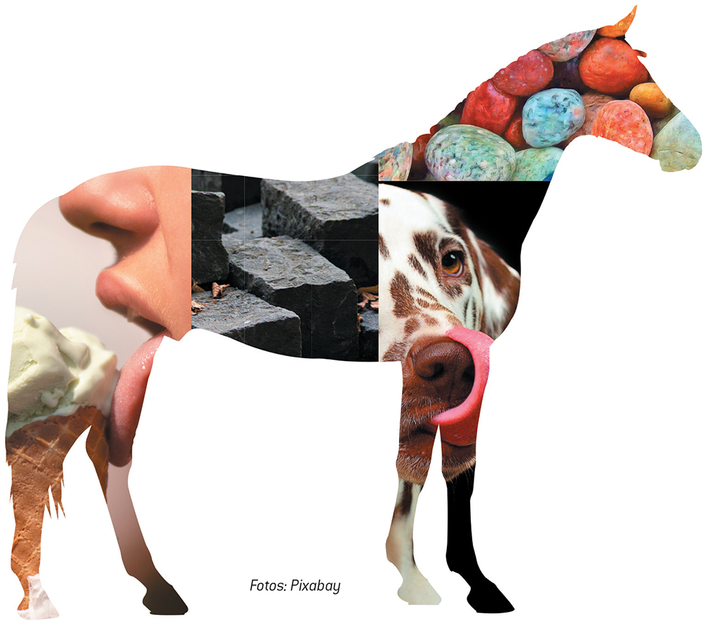 pm-forum-digital-04-2022-ehrenrunde-bilderätsel