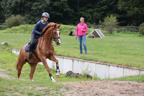 xxReiten auf Geländeplatz bergauf - Lehmann FN-Archiv