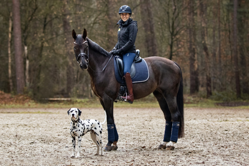 zg Gianna Regenbrecht mit Pferd und Hund - Nina Krug