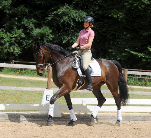 zg Reiten ohne Bügel - Lehmann FN-Archiv