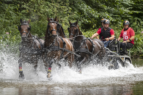 Donaueschingen - CHI mit Europameisterschaft Gespannfahren 2019