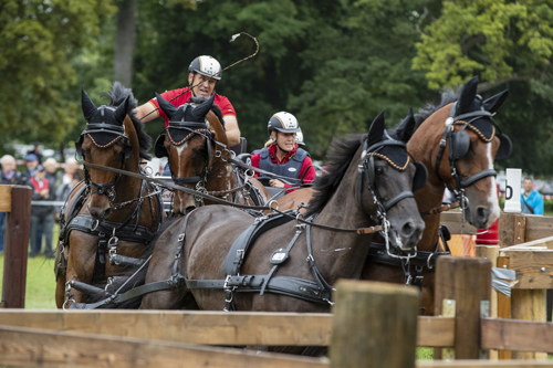 Donaueschingen - CHI mit Europameisterschaft Gespannfahren 2019