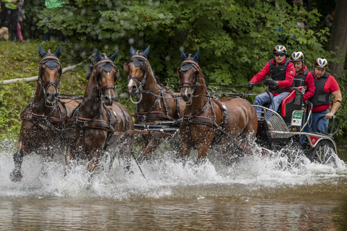 Donaueschingen - CHI mit Europameisterschaft Gespannfahren 2019