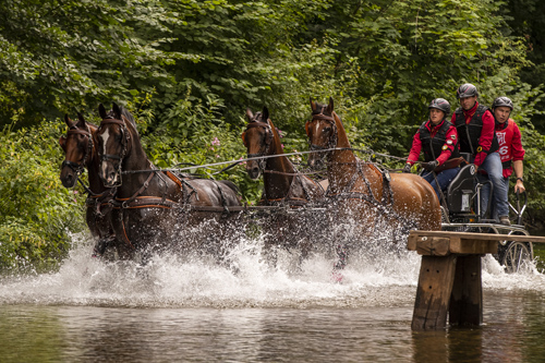 Donaueschingen - CHI mit Europameisterschaft Gespannfahren 2019