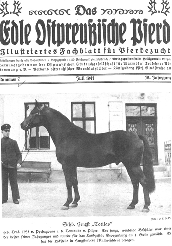 pm-forum-digital-09-2022-ein-titel-für-trakehner-14-3