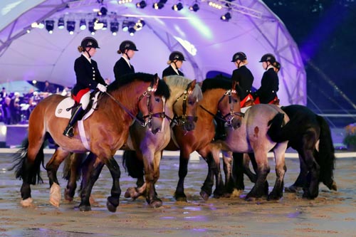 Symphonie 2017_Foto Kaup (3) zg