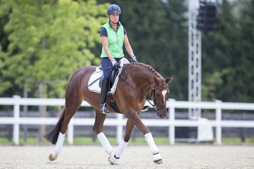 Dehnungshaltung trakehner_arosa10161 - Christiane Slawik zg