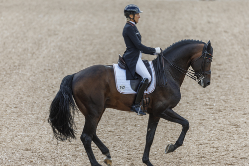 HERNING - ECCO FEI World Championships 2022