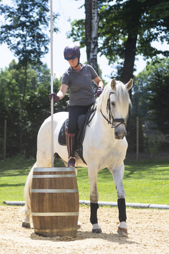 lusitano_merengue62210 - Slawik zg