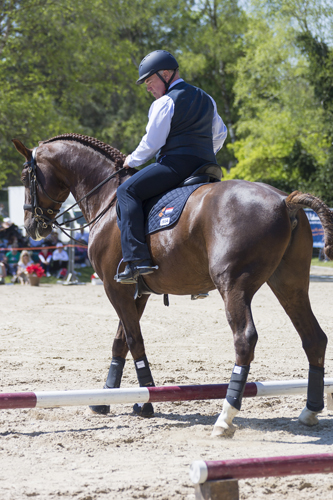 working_equitation_em41518 - Slawik zg