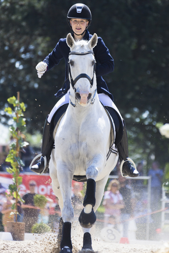 working_equitation_em41528 - Slawik zg