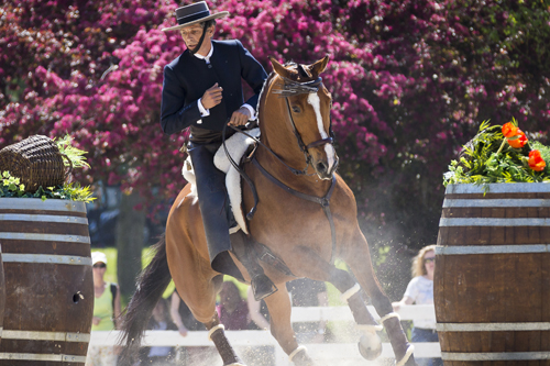 working_equitation_em41541 - Slawik zg