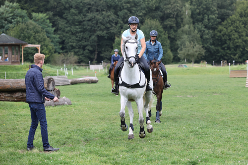 Galopp Geländetraining Erwachsene 6V7A1772 Thoms Lehmann FN-Archiv zg