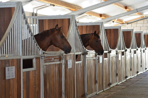 Stallgasse zg