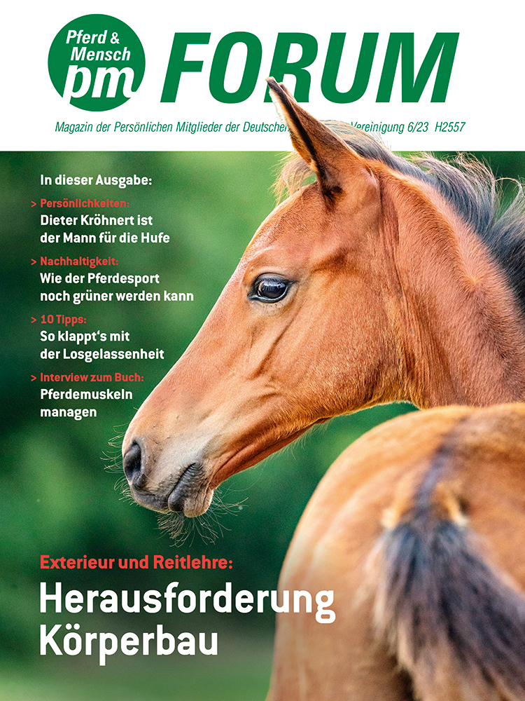 PM-Forum – Eine Zeitschrift für alle Persönlichen Mitglieder
