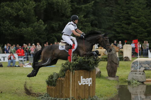 Luhmühlen - CCI****/CIC***DM 2014