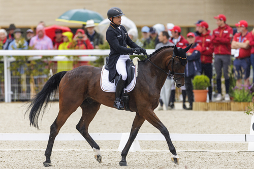 HARAS DU PIN - FEI Eventing European Championship 2023