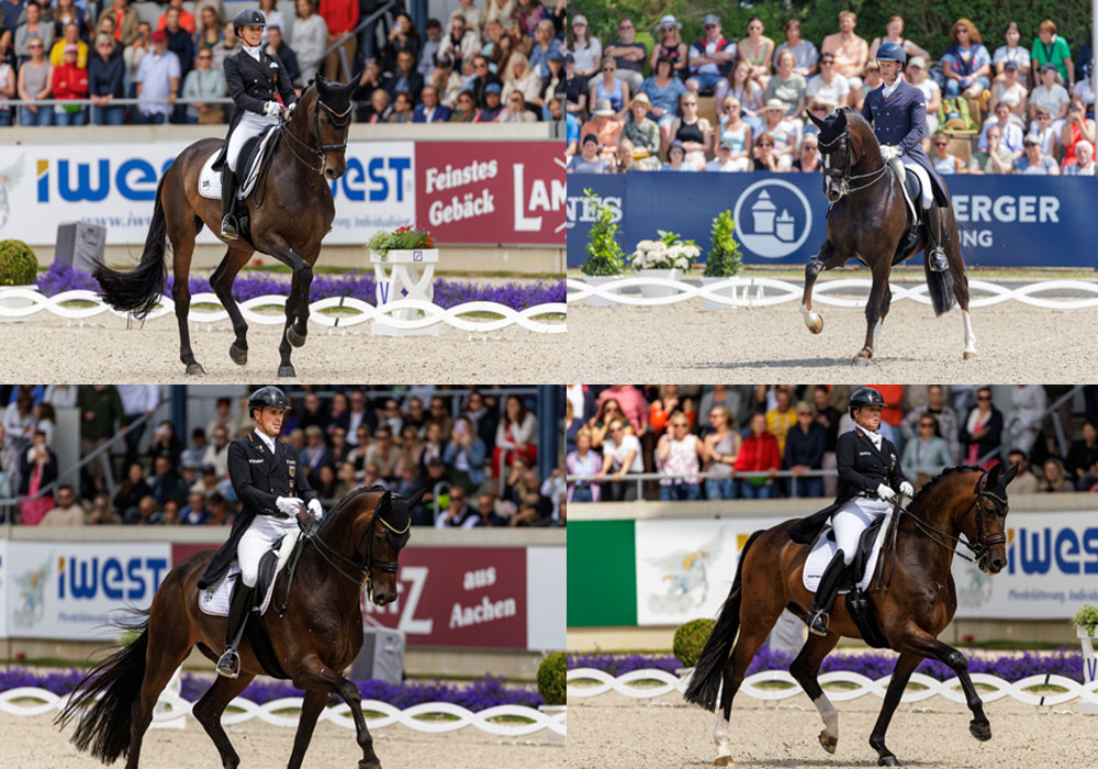 Team Dressur zg