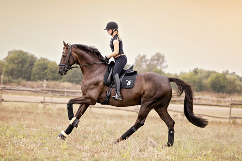 oldenb_fiderdance9229 - Slawik zg