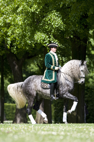Hinrichs_Richard_lusitano_rufia_b50725 - Slawik zg