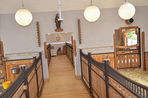 Sonderpreis_Stallgasse_id500603 zg