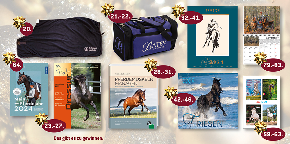 Gewinne2_Weihnachtsraetsel_11-12.2023