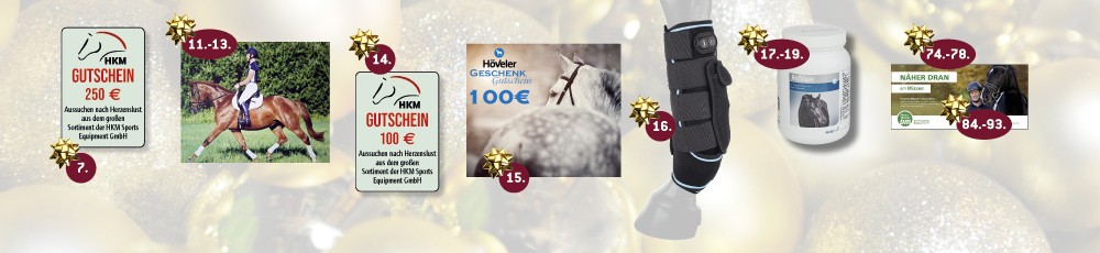 Gewinne4_Weihnachtsraetsel_11-12.2023
