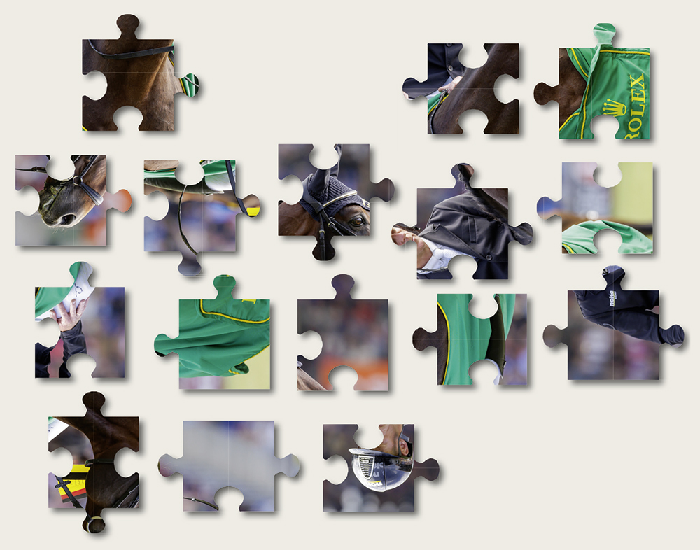 Bilderpuzzle-4.24