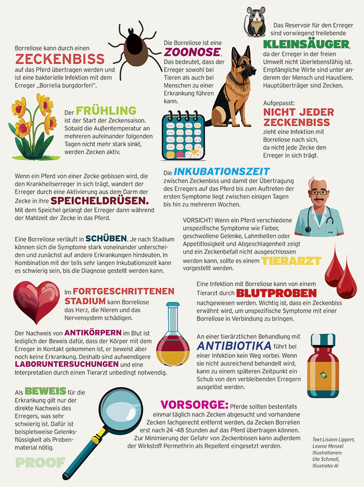 Gesundheit-kompakt-Borreliose