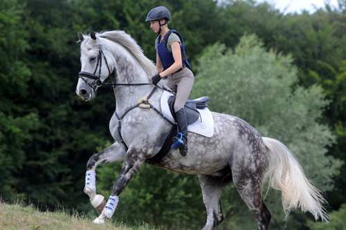 zg Bergauf reiten - Lehmann FN-Archiv